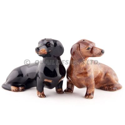 Dachshund salt & pepper